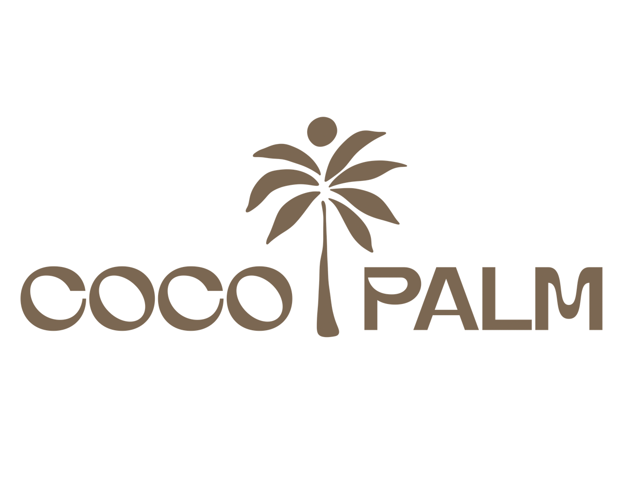 Coco Palm